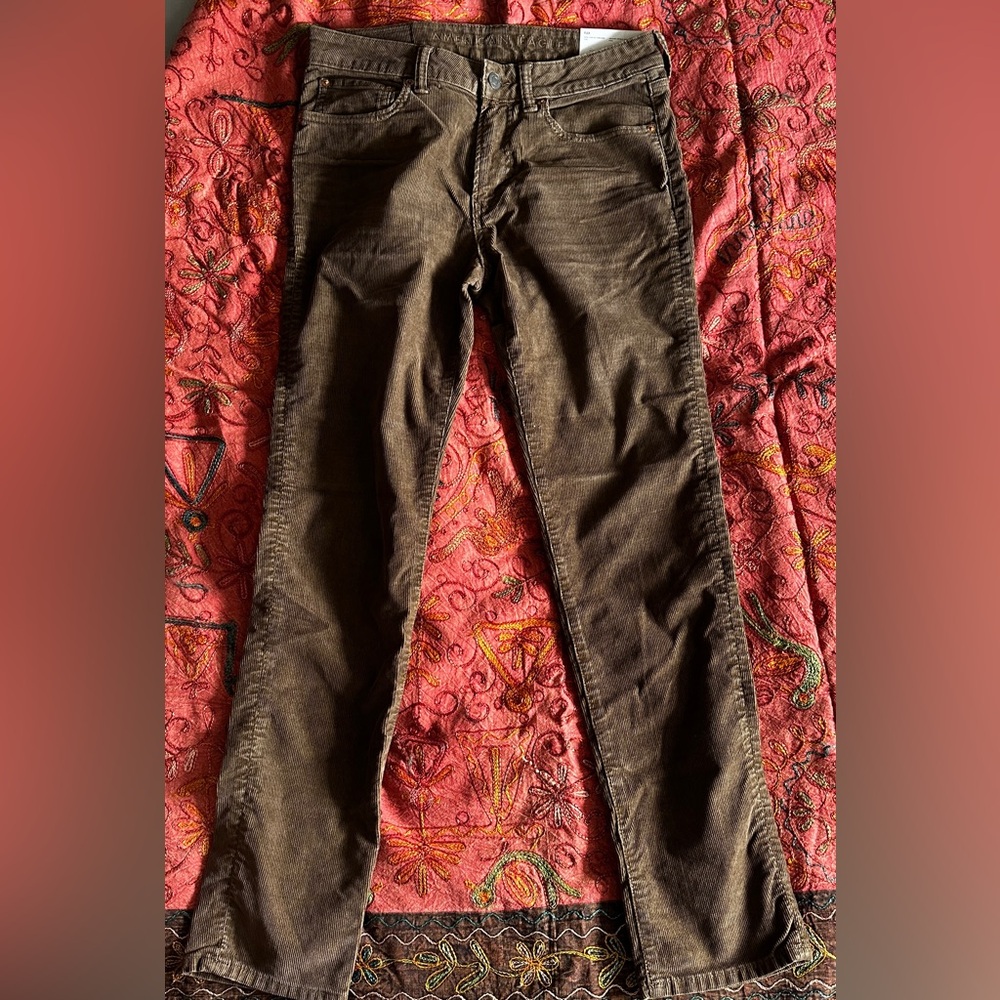 American Eagle corduroys. Brown, slim fit. Men’s size 31/32. New, never worn.